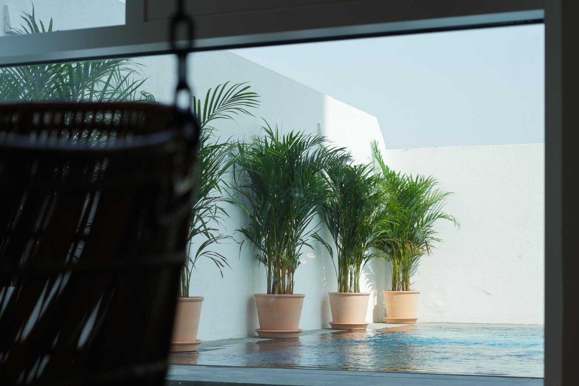 Shada Hotel Jumeirah Garden 두바이 외부 사진